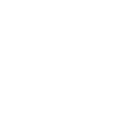 ce logo Puebla